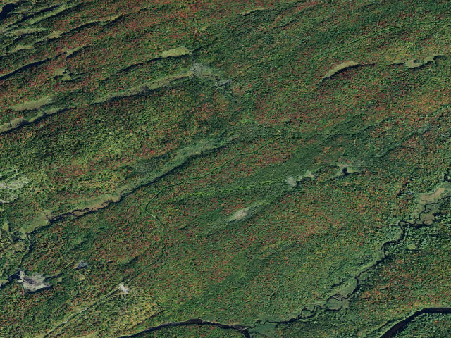 Aerial image of Moose River Plains Campsite 129Aa (Moose River Plains Camping Area)
