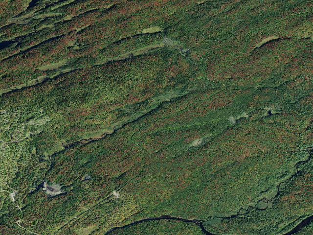 Aerial image of Moose River Plains Campsite 130 (Moose River Plains Camping Area)