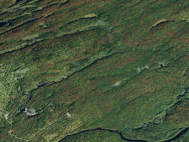 Aerial image of Moose River Plains Campsite 130A (Moose River Plains Camping Area)