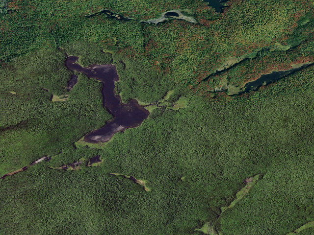 Aerial image of Moose River Plains Campsite 140A (Moose River Plains Wild Forest)