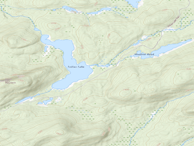 USGS topographic map of Moose River Plains Campsite 140A (Moose River Plains Wild Forest)