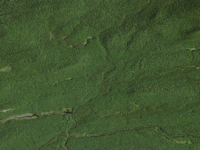 Aerial image of Moose River Plains Campsite 16 (Moose River Plains Camping Area)