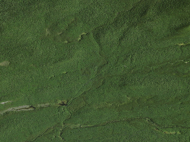Aerial image of Moose River Plains Campsite 17 (Moose River Plains Camping Area)