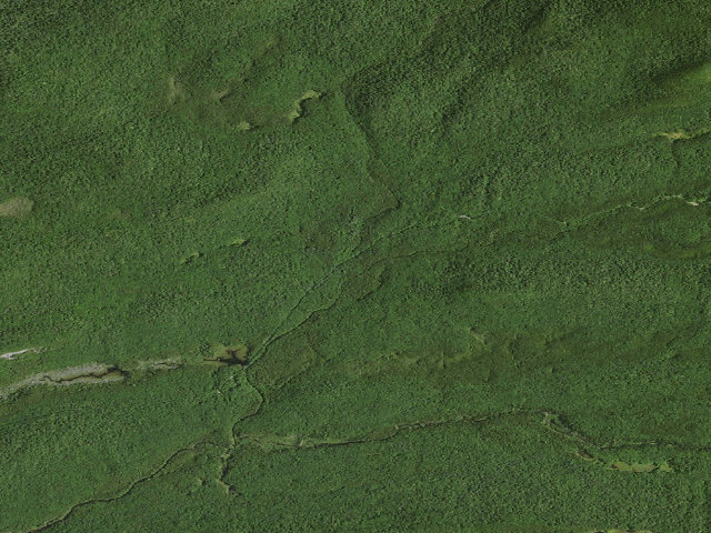 Aerial image of Moose River Plains Campsite 19 (Moose River Plains Camping Area)