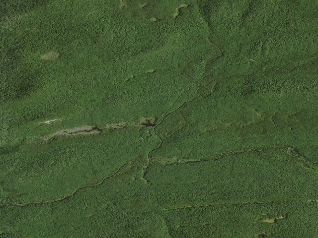 Aerial image of Moose River Plains Campsite 21 (Moose River Plains Camping Area)