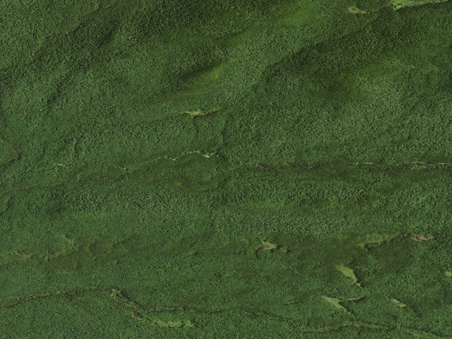 Aerial image of Moose River Plains Campsite 3 (Moose River Plains Camping Area)