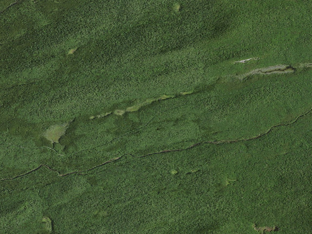 Aerial image of Moose River Plains Campsite 31 (Moose River Plains Camping Area)