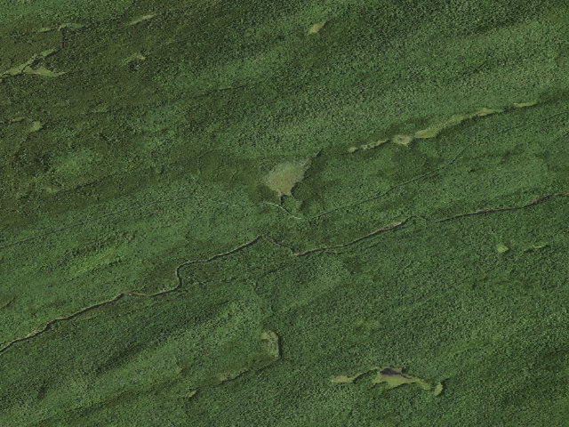 Aerial image of Moose River Plains Campsite 38 (Moose River Plains Camping Area)