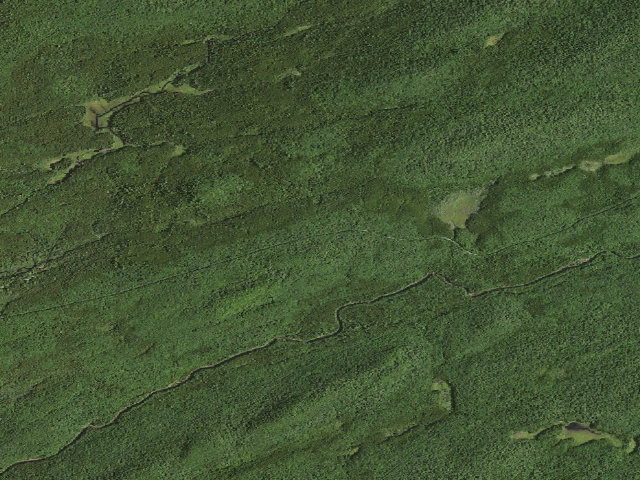 Aerial image of Moose River Plains Campsite 39 (Moose River Plains Camping Area)