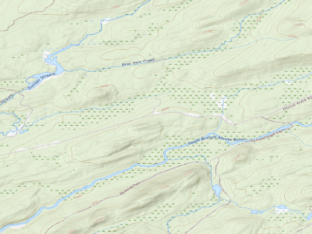 USGS topographic map of Moose River Plains Campsite 39 (Moose River Plains Camping Area)