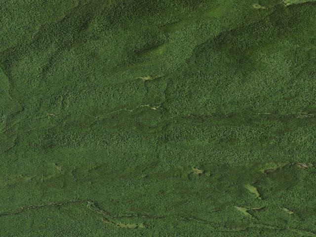 Aerial image of Moose River Plains Campsite 4 (Moose River Plains Camping Area)