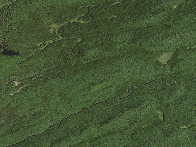 Aerial image of Moose River Plains Campsite 40 (Moose River Plains Camping Area)