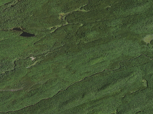 Aerial image of Moose River Plains Campsite 41 (Moose River Plains Camping Area)