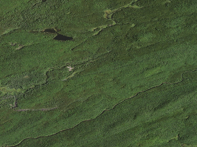 Aerial image of Moose River Plains Campsite 42 (Moose River Plains Camping Area)