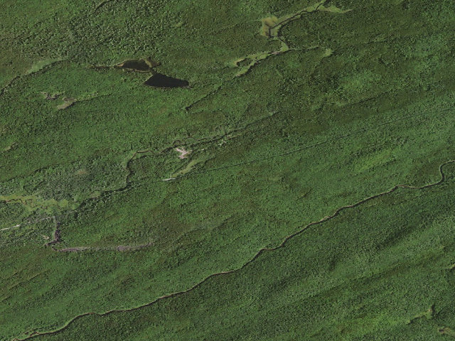 Aerial image of Moose River Plains Campsite 43 (Moose River Plains Camping Area)