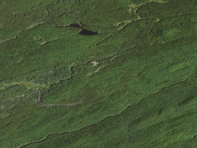 Aerial image of Moose River Plains Campsite 44 (Moose River Plains Camping Area)