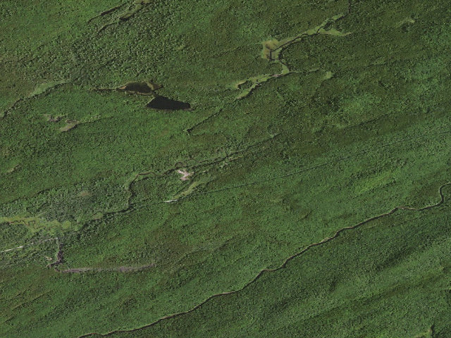 Aerial image of Moose River Plains Campsite 48 (Moose River Plains Camping Area)