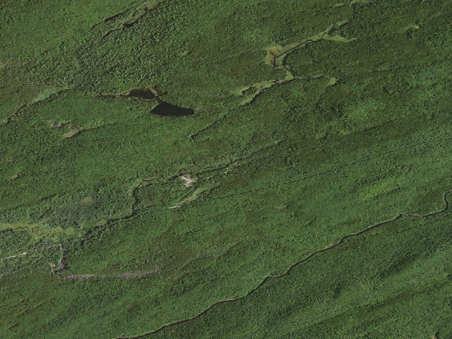 Aerial image of Moose River Plains Campsite 49 (Moose River Plains Camping Area)