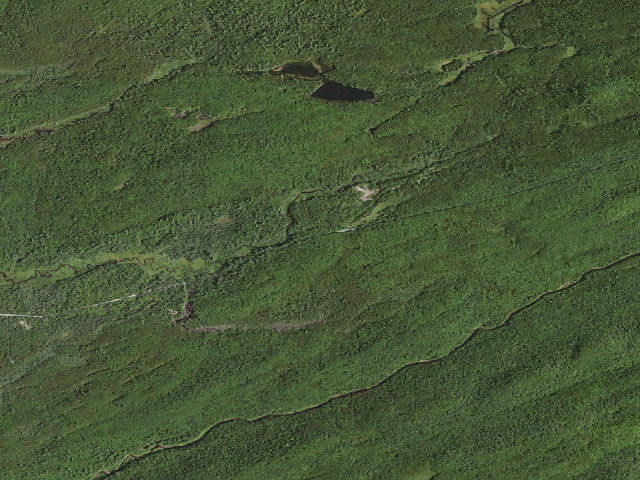 Aerial image of Moose River Plains Campsite 50 (Moose River Plains Camping Area)