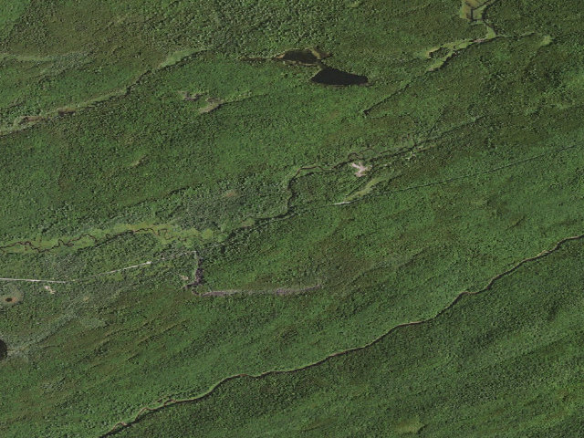 Aerial image of Moose River Plains Campsite 51 (Moose River Plains Camping Area)