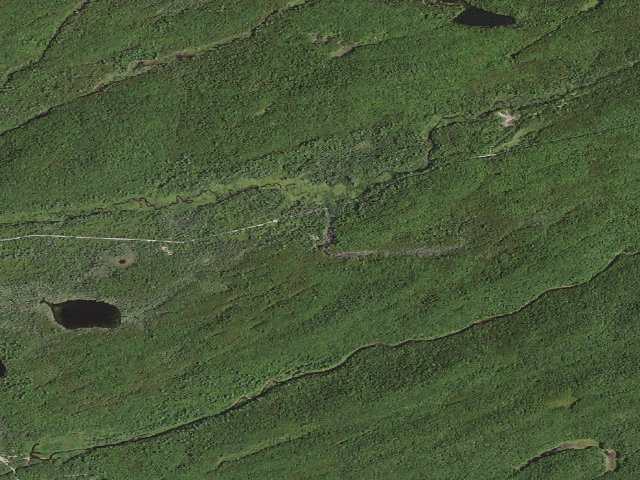 Aerial image of Moose River Plains Campsite 53 (Moose River Plains Camping Area)