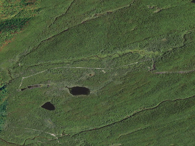 Aerial image of Moose River Plains Campsite 59 (Moose River Plains Camping Area)