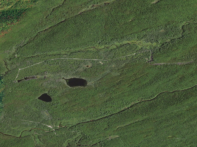Aerial image of Moose River Plains Campsite 61 (Moose River Plains Camping Area)