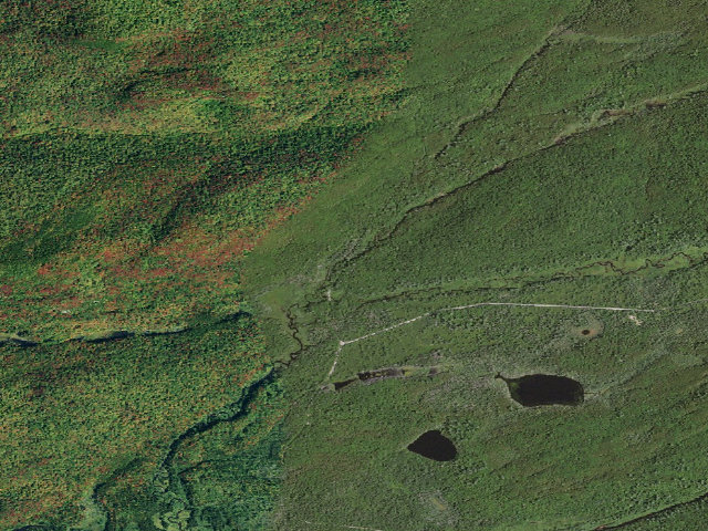 Aerial image of Moose River Plains Campsite 64 (Moose River Plains Camping Area)