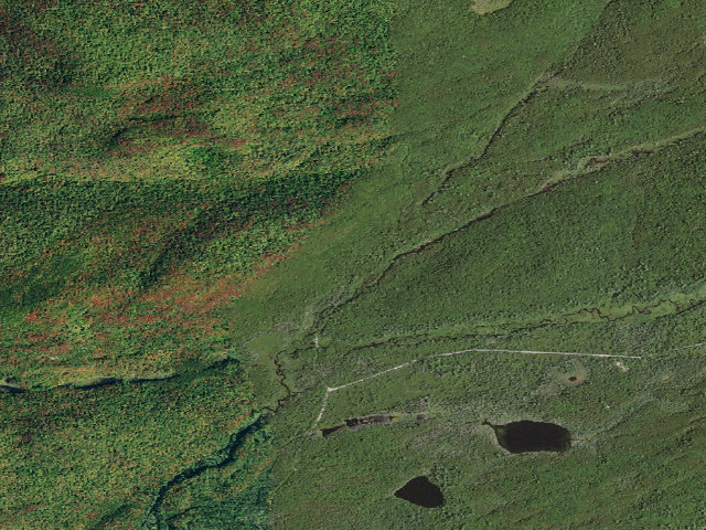 Aerial image of Moose River Plains Campsite 66 (Moose River Plains Camping Area)