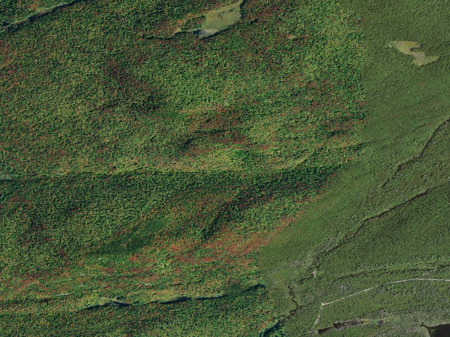 Aerial image of Moose River Plains Campsite 69 (Moose River Plains Camping Area)