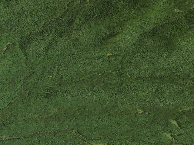 Aerial image of Moose River Plains Campsite 7 (Moose River Plains Camping Area)