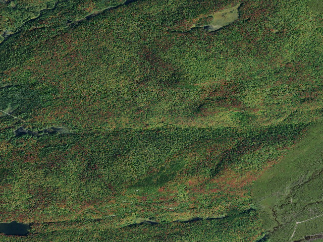 Aerial image of Moose River Plains Campsite 70 (Moose River Plains Camping Area)