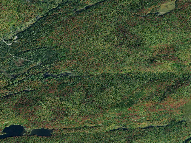 Aerial image of Moose River Plains Campsite 71 (Moose River Plains Camping Area)