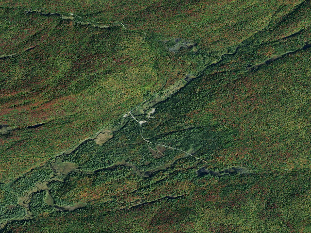 Aerial image of Moose River Plains Campsite 77 (Moose River Plains Camping Area)