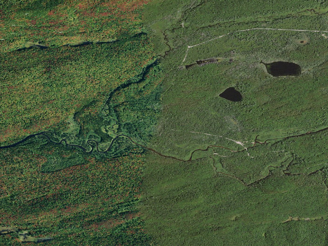 Aerial image of Moose River Plains Campsite 80 (Moose River Plains Wild Forest)