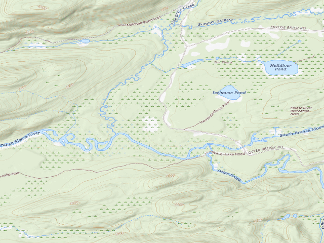 USGS topographic map of Moose River Plains Campsite 80 (Moose River Plains Wild Forest)