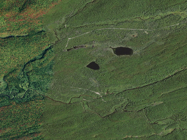 Aerial image of Moose River Plains Campsite 81 (Moose River Plains Wild Forest)