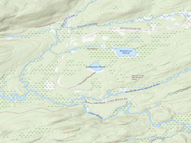 USGS topographic map of Moose River Plains Campsite 81 (Moose River Plains Wild Forest)