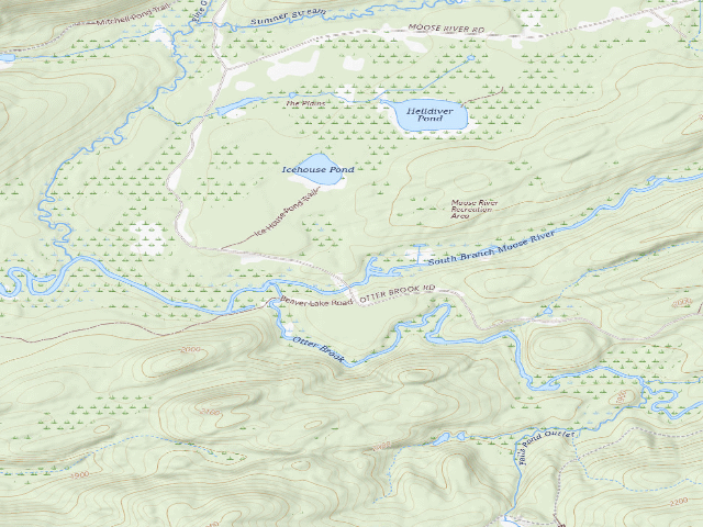 USGS topographic map of Moose River Plains Campsite 82 (Moose River Plains Wild Forest)