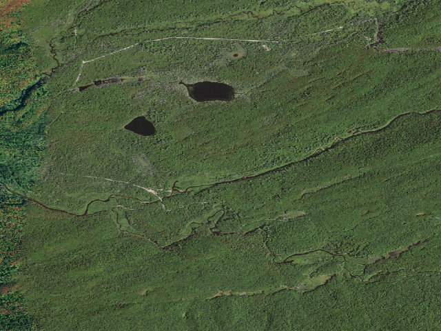 Aerial image of Moose River Plains Campsite 84 (Moose River Plains Wild Forest)