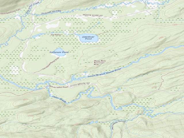 USGS topographic map of Moose River Plains Campsite 84 (Moose River Plains Wild Forest)