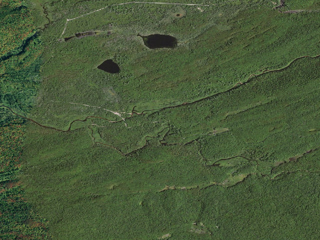 Aerial image of Moose River Plains Campsite 98 (Moose River Plains Wild Forest)
