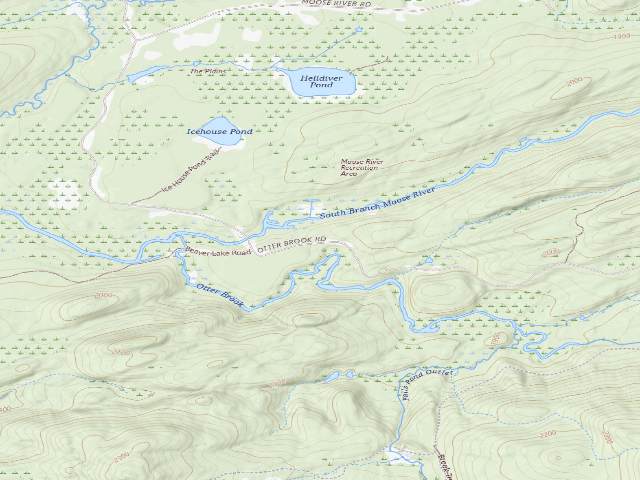 USGS topographic map of Moose River Plains Campsite 98 (Moose River Plains Wild Forest)