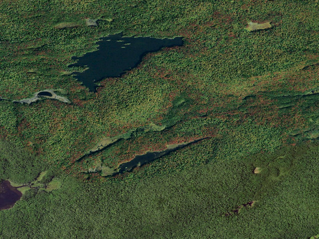 Aerial image of Moose River Plains Wild Forest Primitive Tent Site (Moose River Plains Wild Forest)