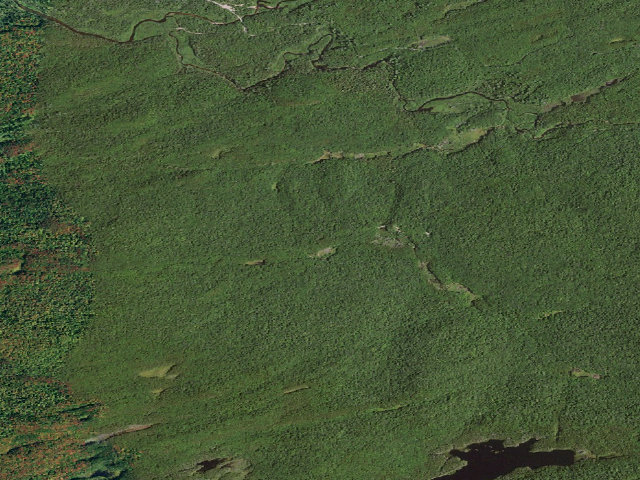 Aerial image of Moose River Plains Wild Forest Primitive Tent Site (Moose River Plains Wild Forest)