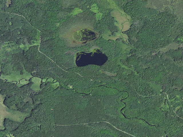 Aerial image of Morgan Lake