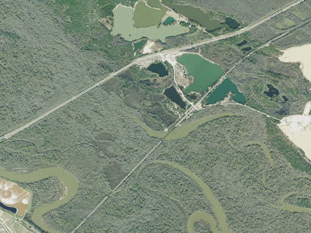Aerial image of Morgan Lake WMA - Morgan Lake Primitive Camp