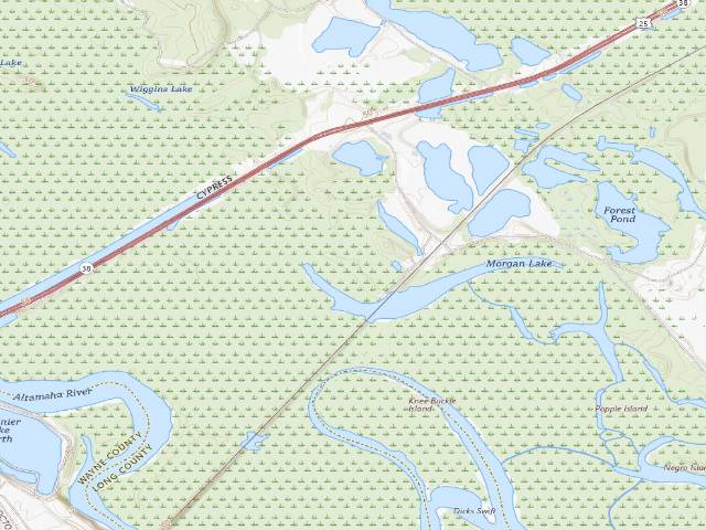 USGS topographic map of Morgan Lake WMA - Morgan Lake Primitive Camp