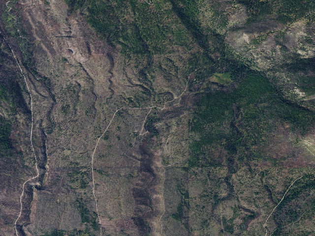 Aerial image of Morrell Creek