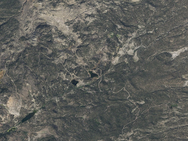 Aerial image of Morrell Cua Dispersed